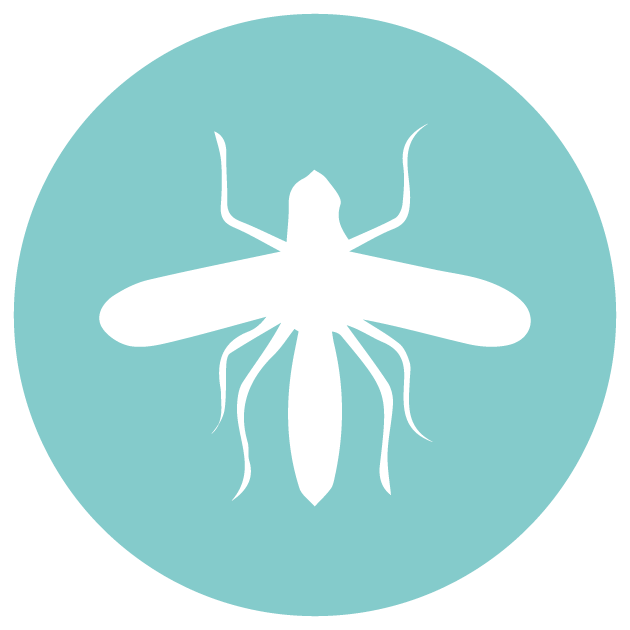 Mosquito Control in Riyadh