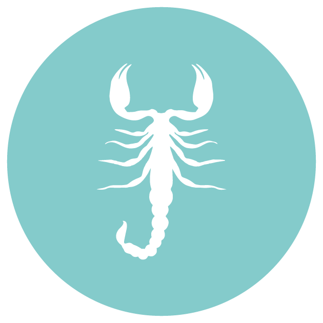 Scorpions Control in Riyadh