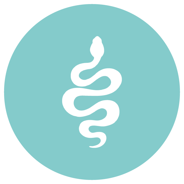 Snake Control in Riyadh