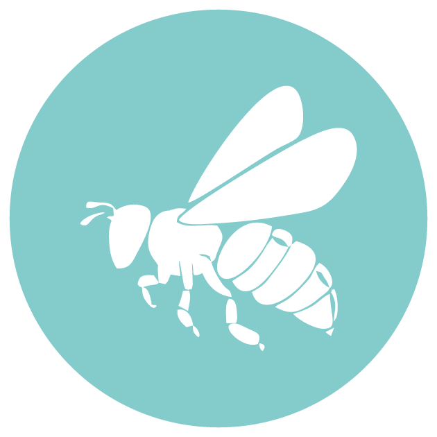 Wasp Control in Riyadh